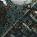 Mayco SW-154 Shipwreck - 473-ml