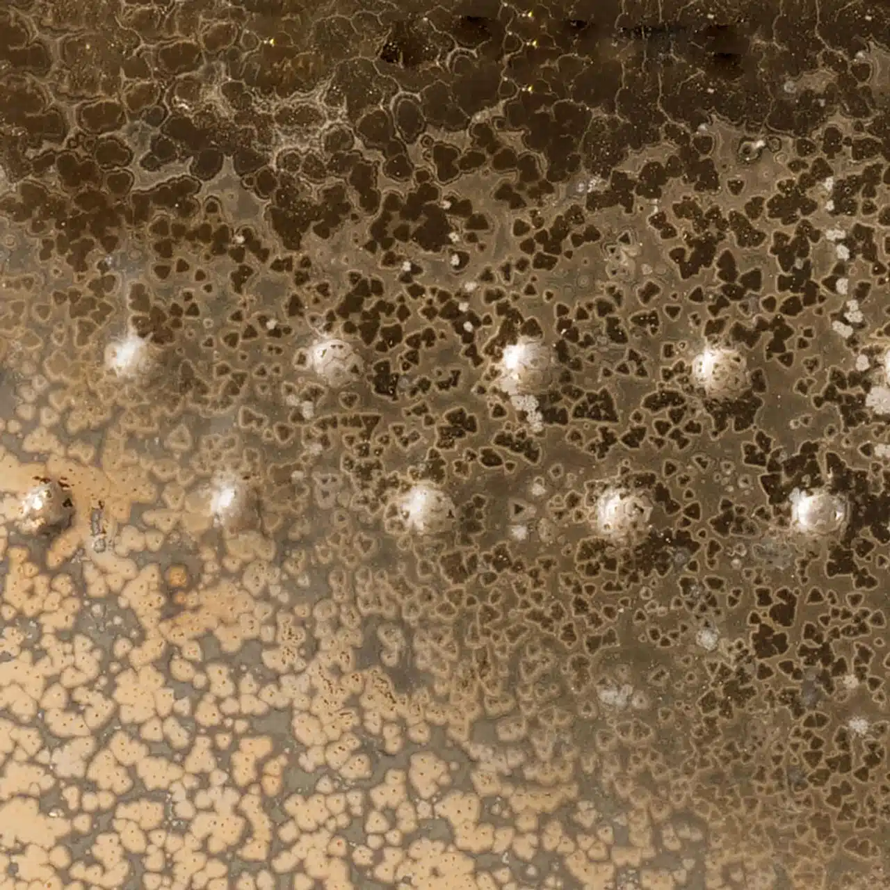 Amaco Potter's Choice PC09 - Vintage Gold