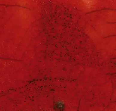 Magma MR789 rood - RAKU