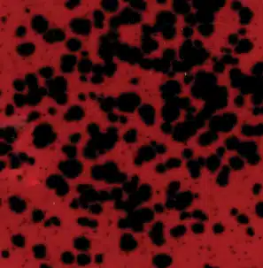 Mayco CG-984 Ladybug