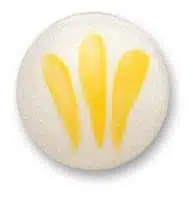 Schjerning porseleinverf 2003 citroengeel