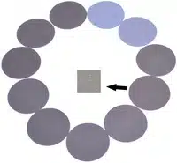 Schuurschijf klit Ø 120 mm siliciumcarbide K1000