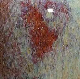 Magma MST876 Potpourri