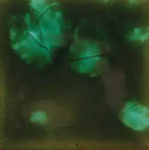 Mayco CG-707 Woodland Fantasy