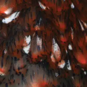 Mayco CG-986 Smoke and Fire